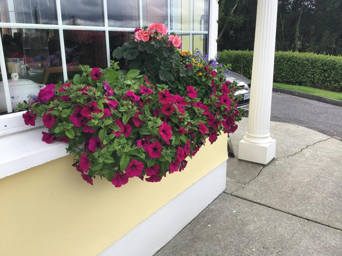 Oakfield Bed & Breakfast Kenmare Exterior photo